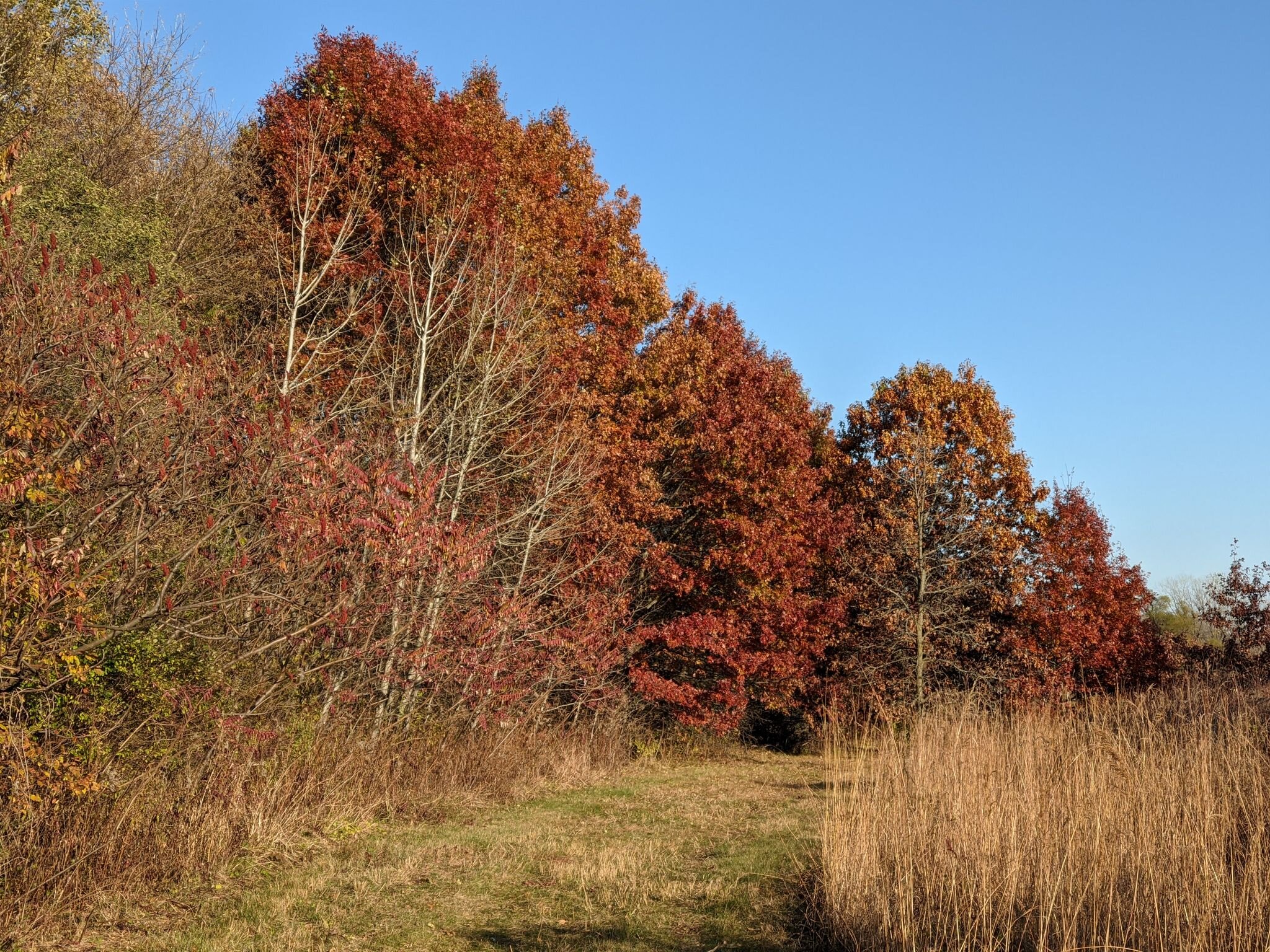 Donald Hackbarth Trail4