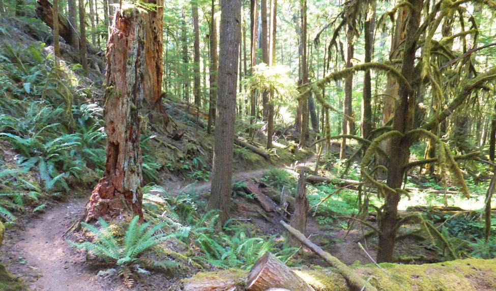 King-Castle Trail 2