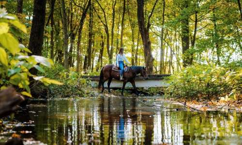 Michigan Horse Trails 6