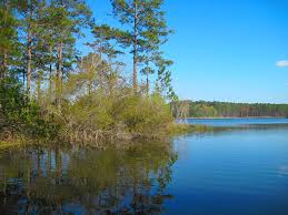 Blackwater River 4