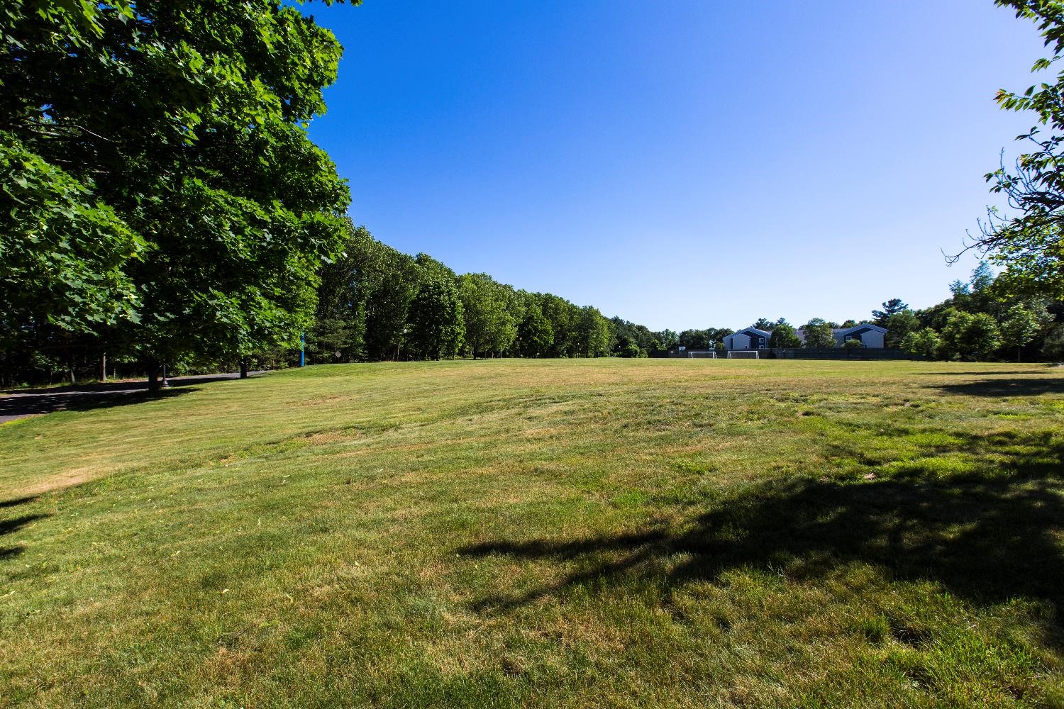 Grass Field