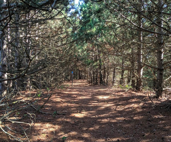chippewa run natural area 2