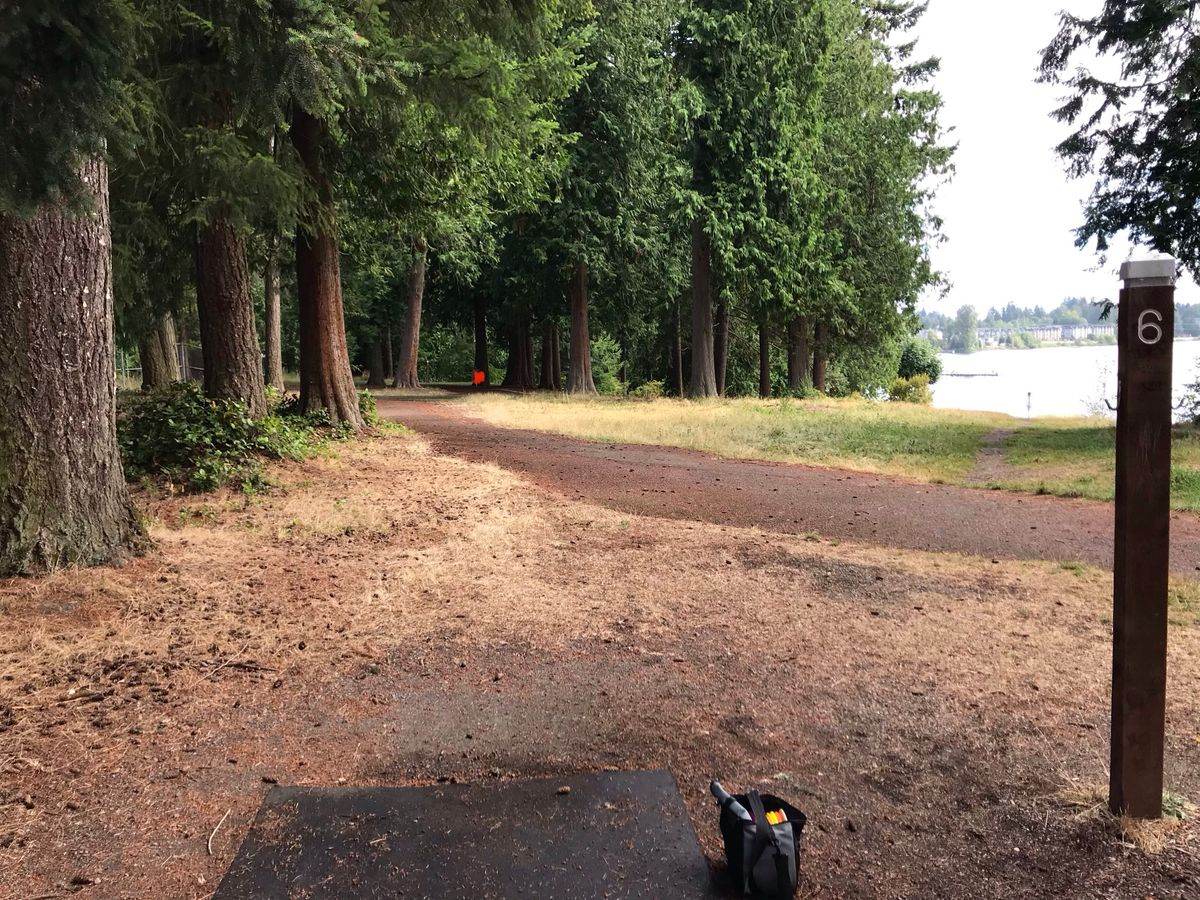 Silver Lake Excalibur Disc Golf 4