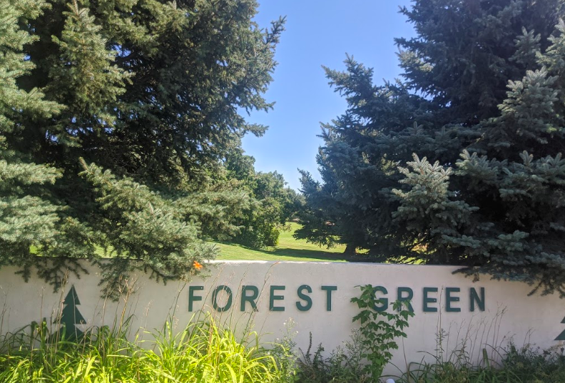 Beus Pond:Forest Green Park