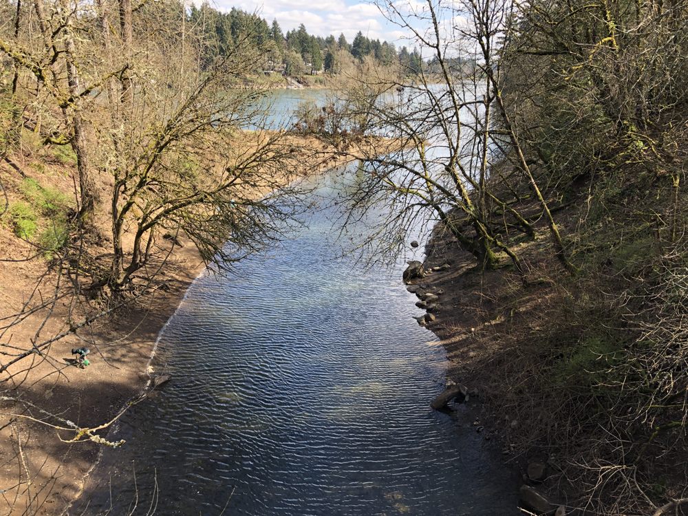 George Rogers Park