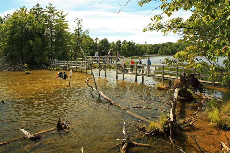 Lost Lake Pathway3