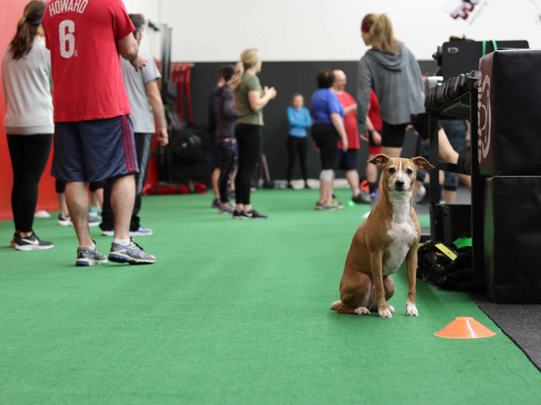 O.B. Training & Sports Performance7