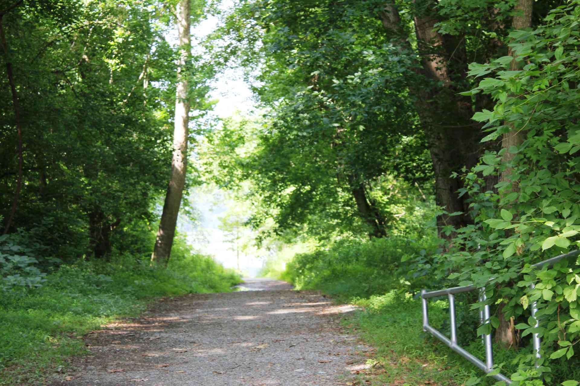 trail