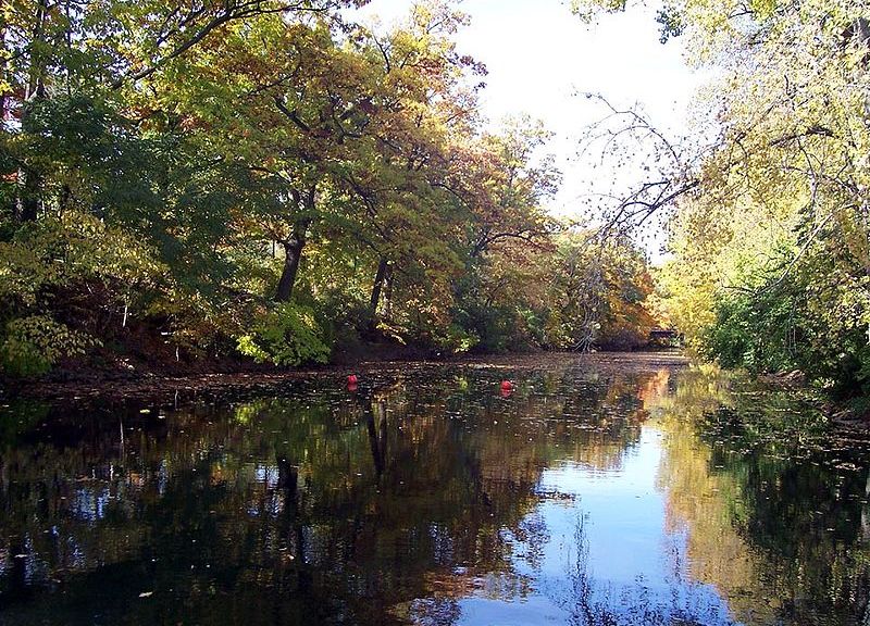 Cedar River Natural Area