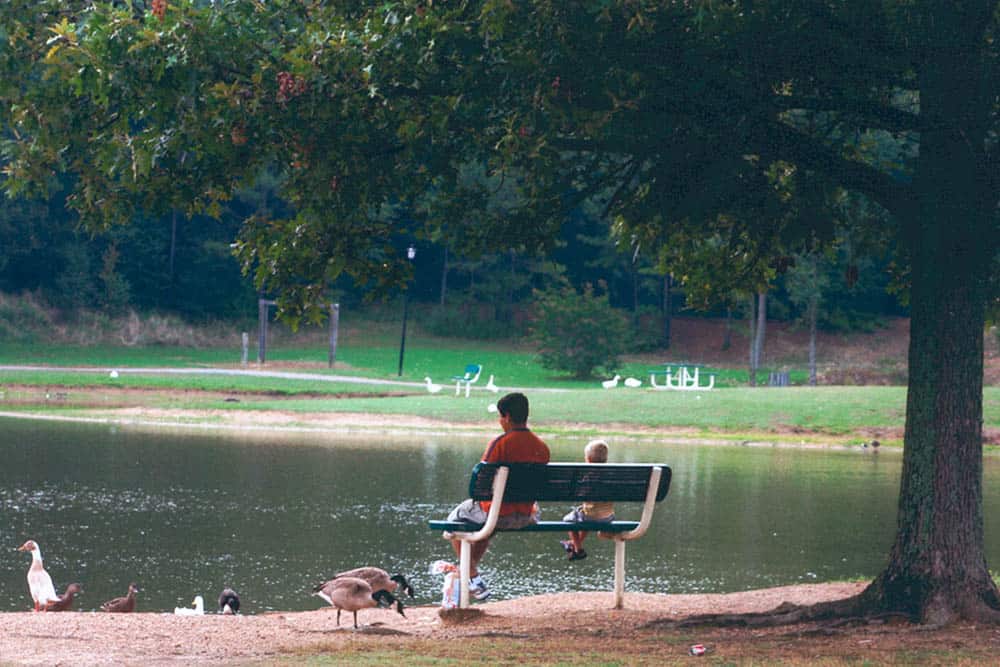 Olive Branch City Park3