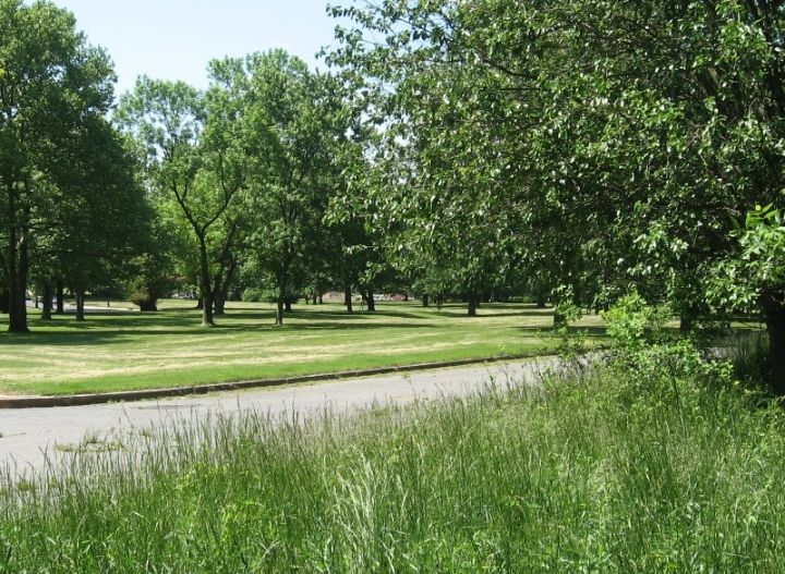 Silver Creek 2