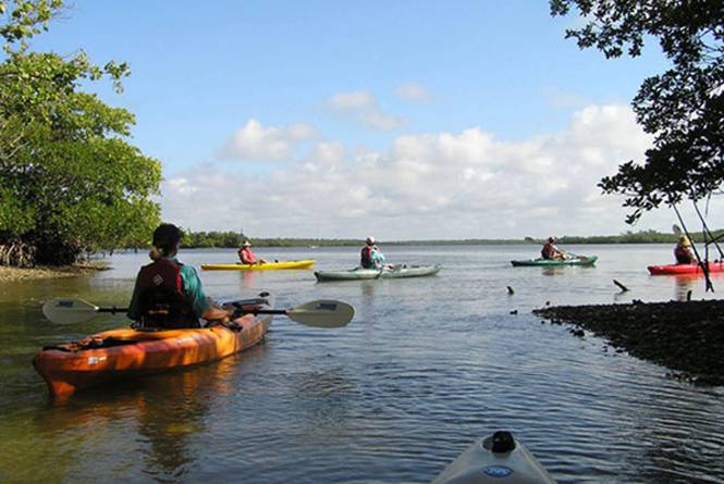 Paddle TC 1