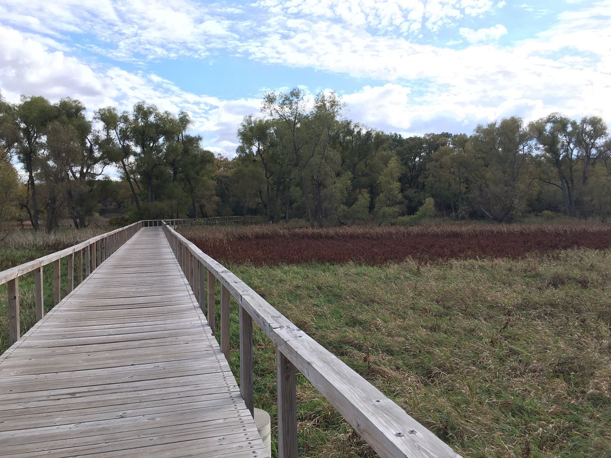 Donald Hackbarth Trail5