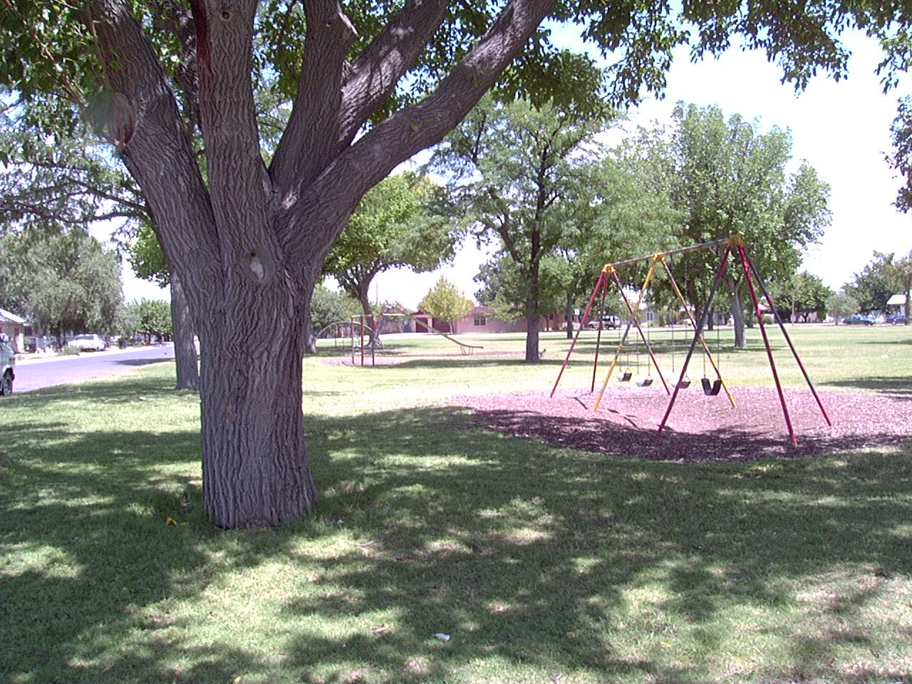 Carpenter Park 4