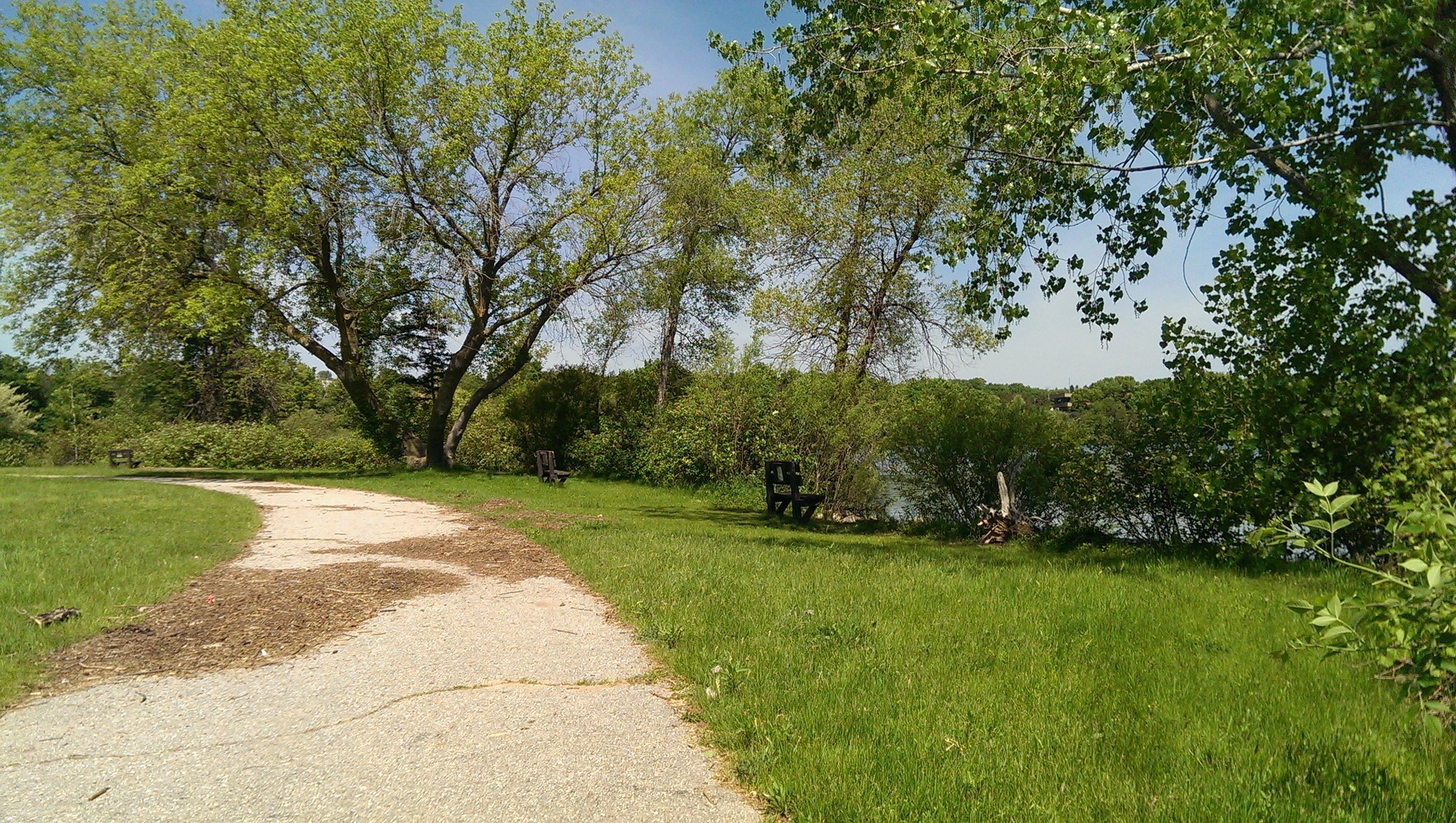 AnyConv.com__Medalie Park
