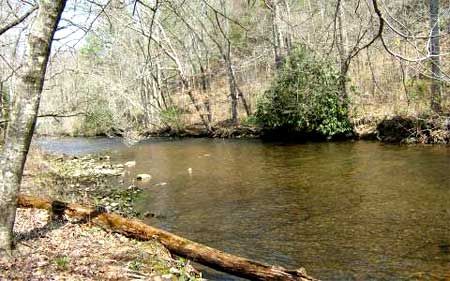 Trout Creek Fishing Stream