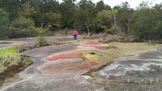 Forty Acre Rock Heritage Preserve 2