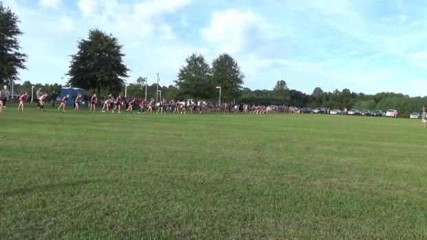 Pole field