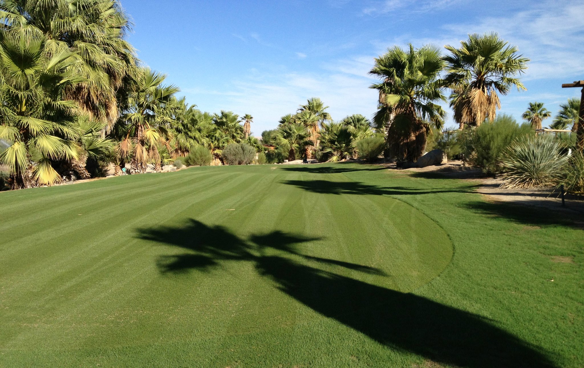 Roadrunner Golf and Country Club3