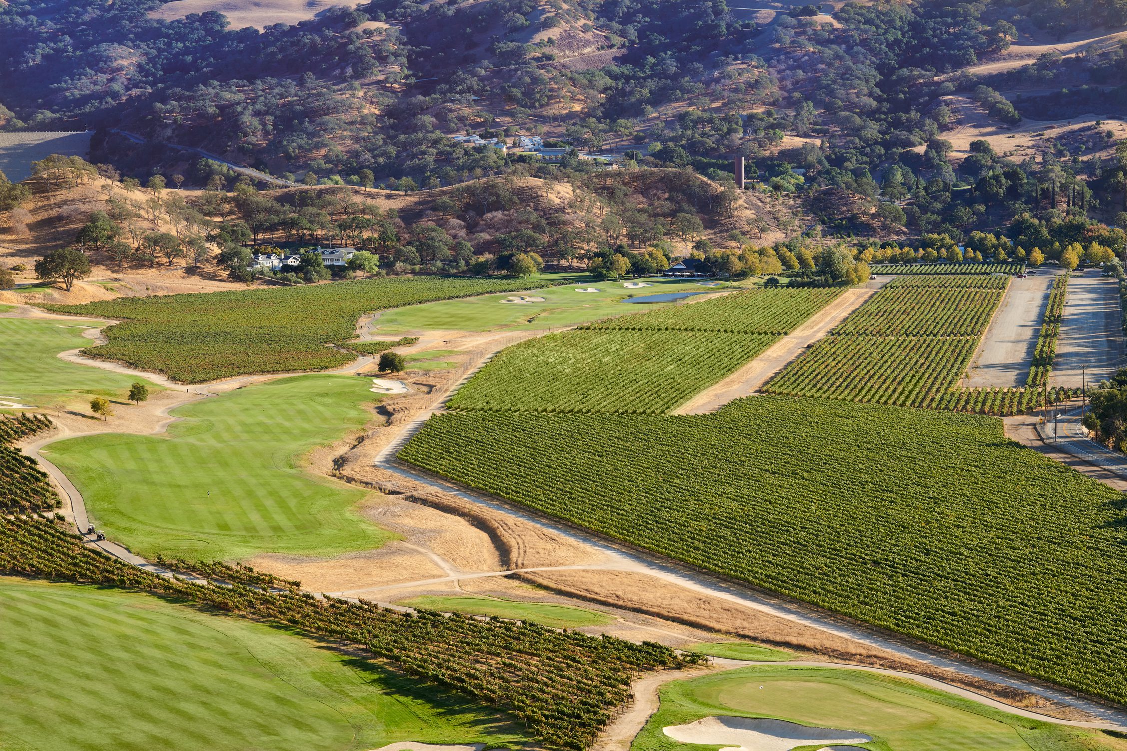 The Course at Wente Vineyards3