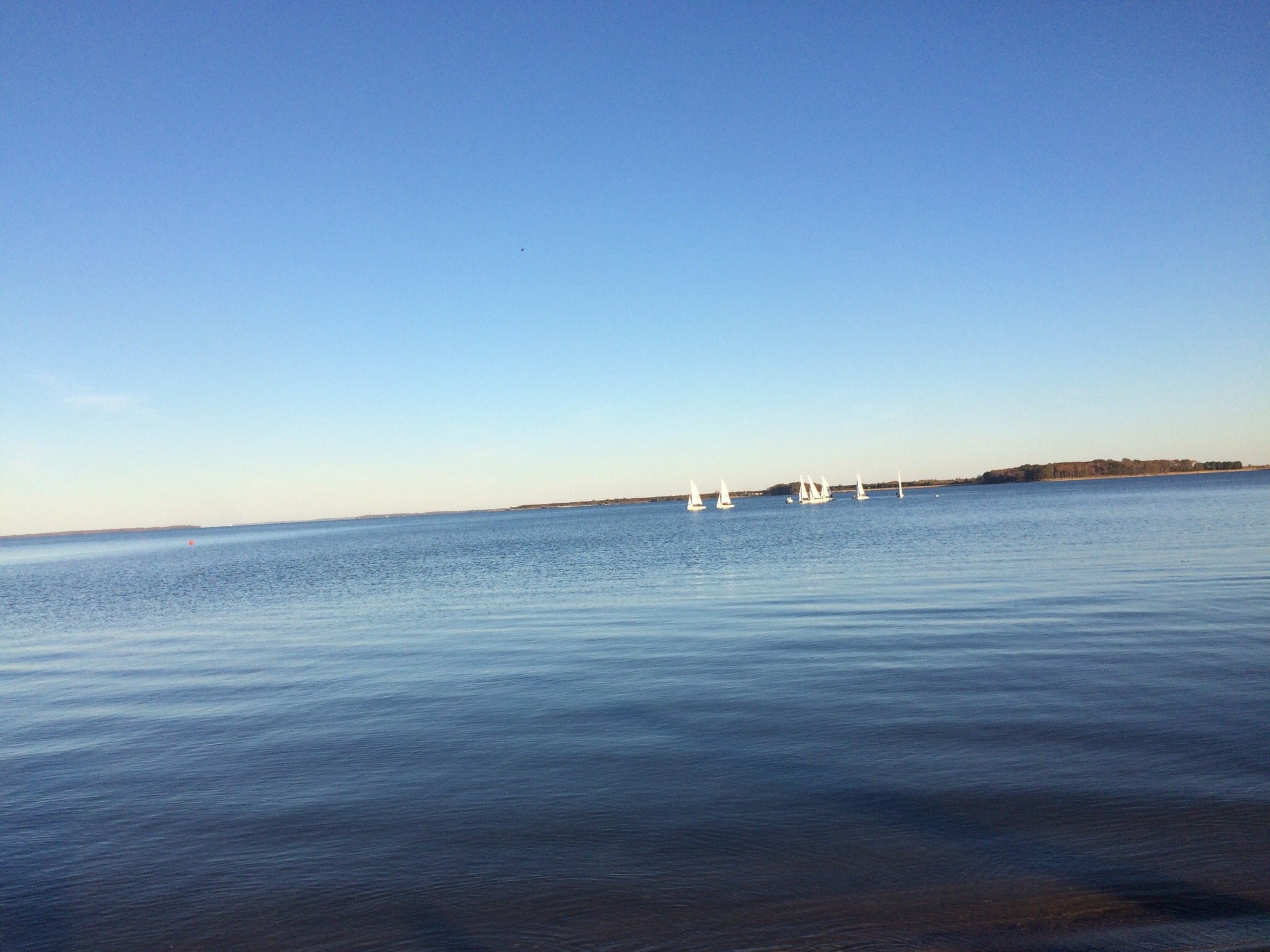 Rocky Point 6