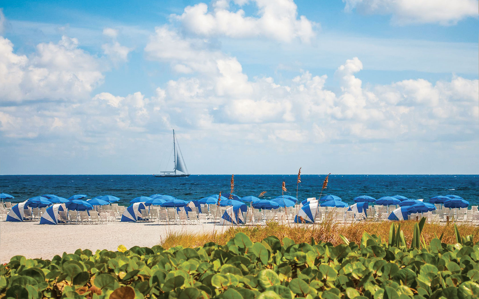 The Seagate Hotel & Spa4