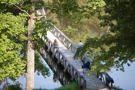 Trace State Park 3