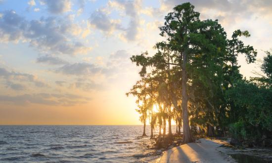 200610_Fontainebleau State Park_163-Edit.jpg
