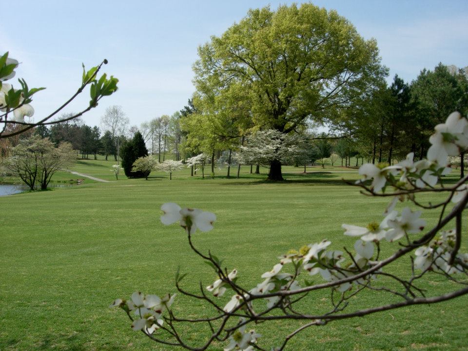 Dogwood Hills Golf Club & Gardens3