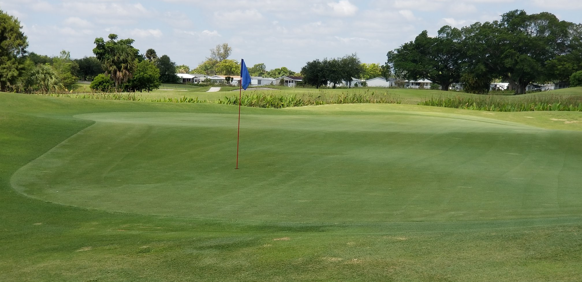 Davie Golf and Country Club6