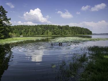 North Toledo Bend State Park .jpg
