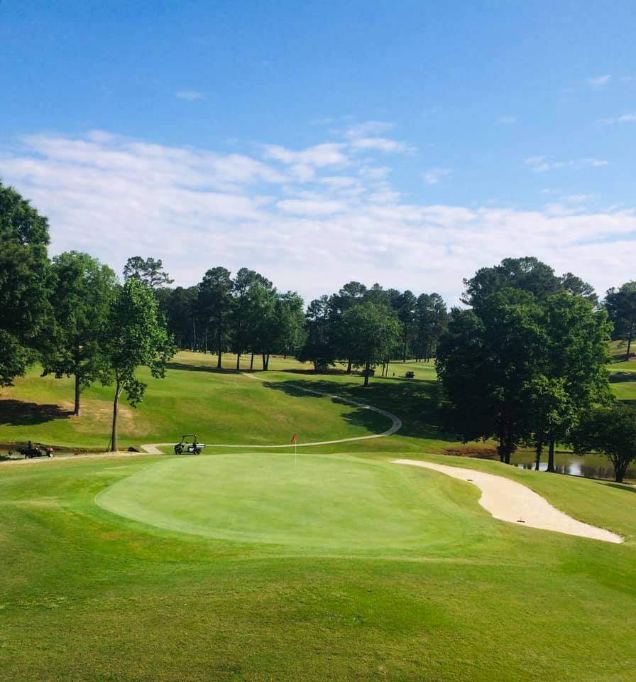 Terri Pines 5