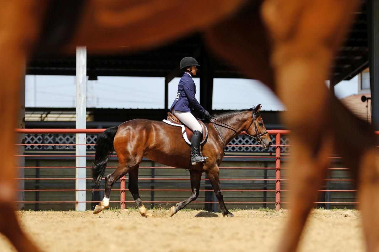 Dallas Equestrian Center2
