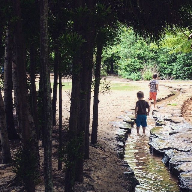 Webb Bridge Park & Arboretum 2