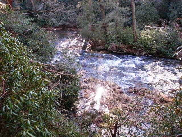 Fork Mountain Trail2