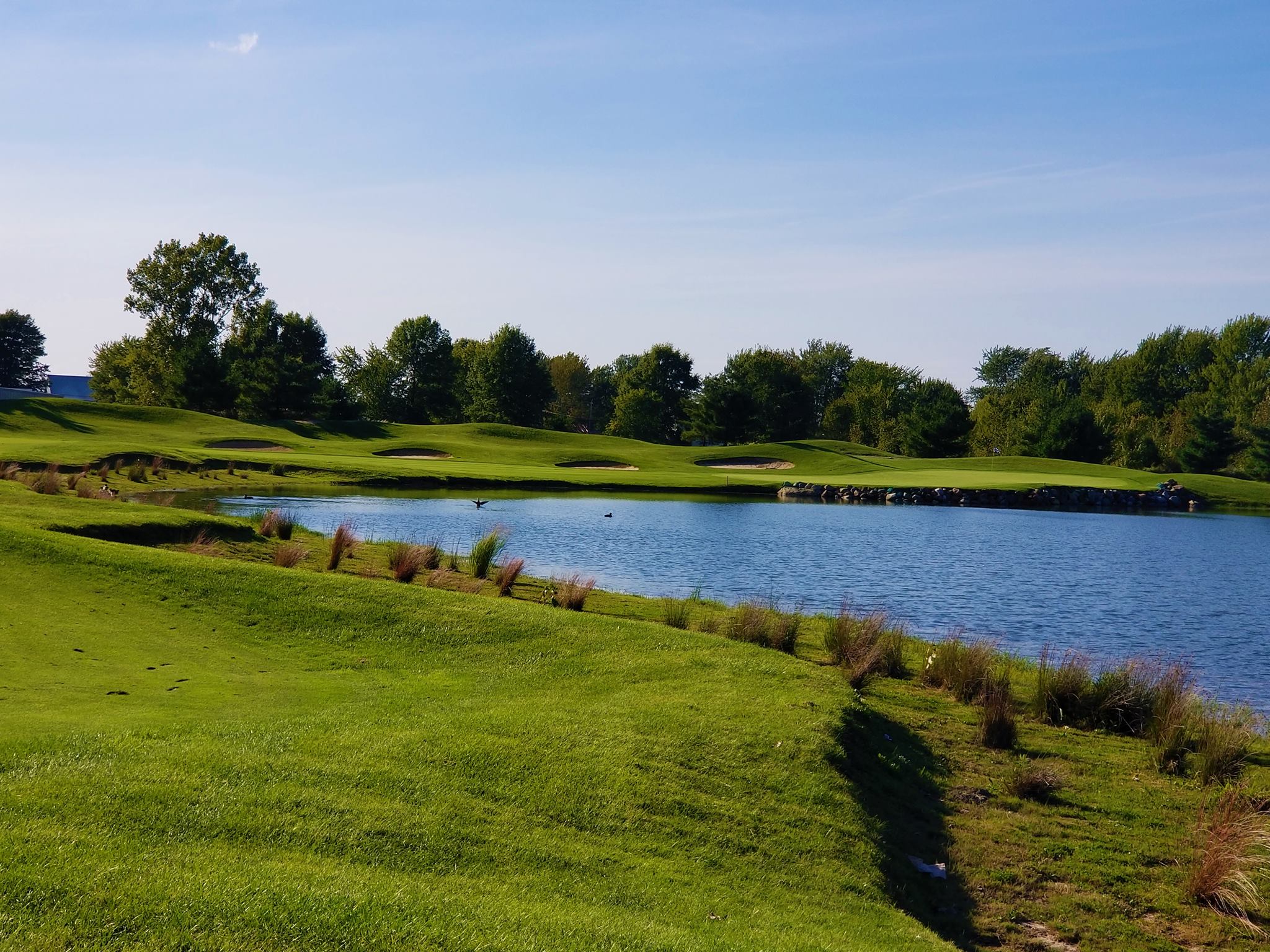 Grey Hawk Golf Club7