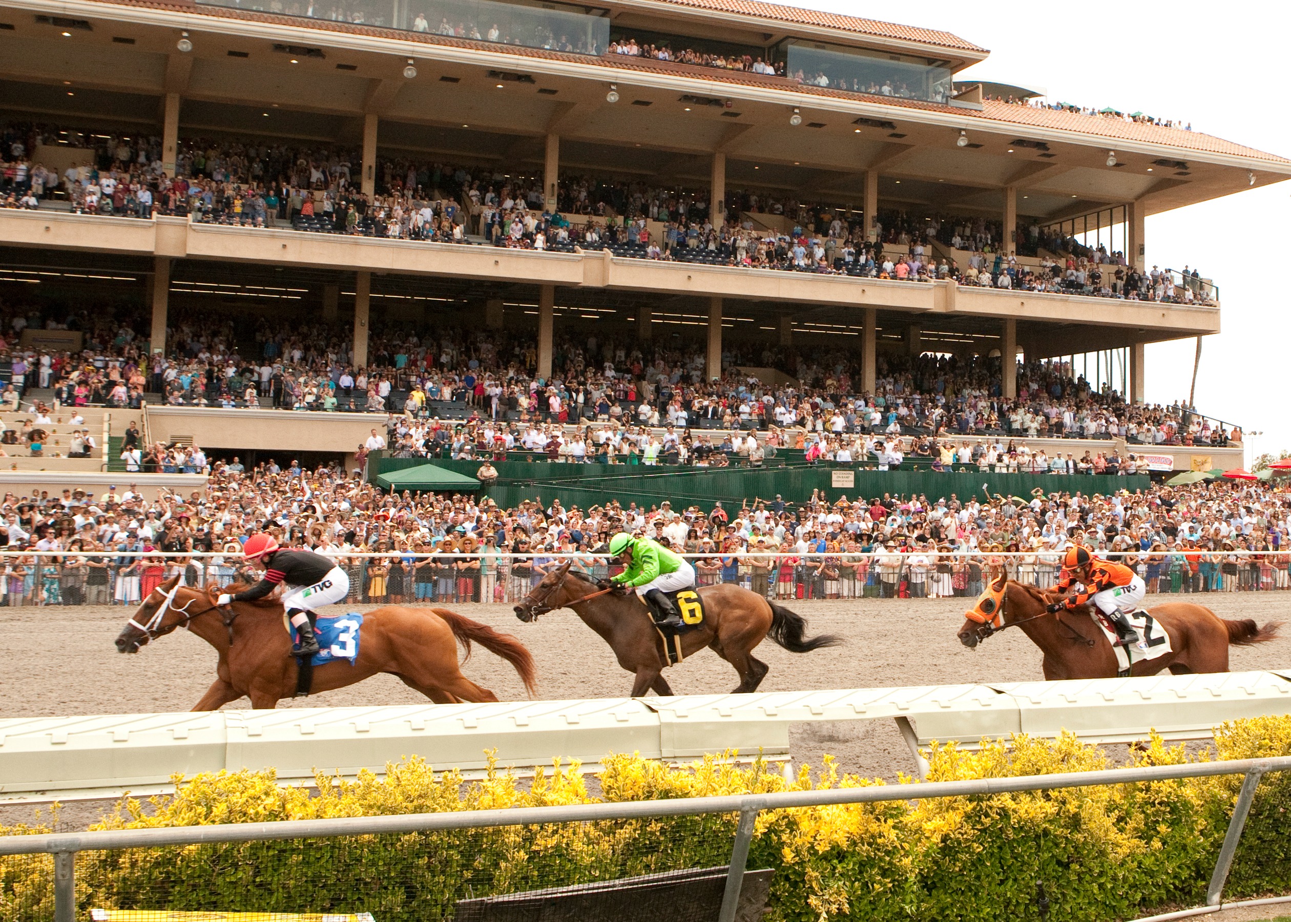 Del Mar Fairgrounds Race Track  4