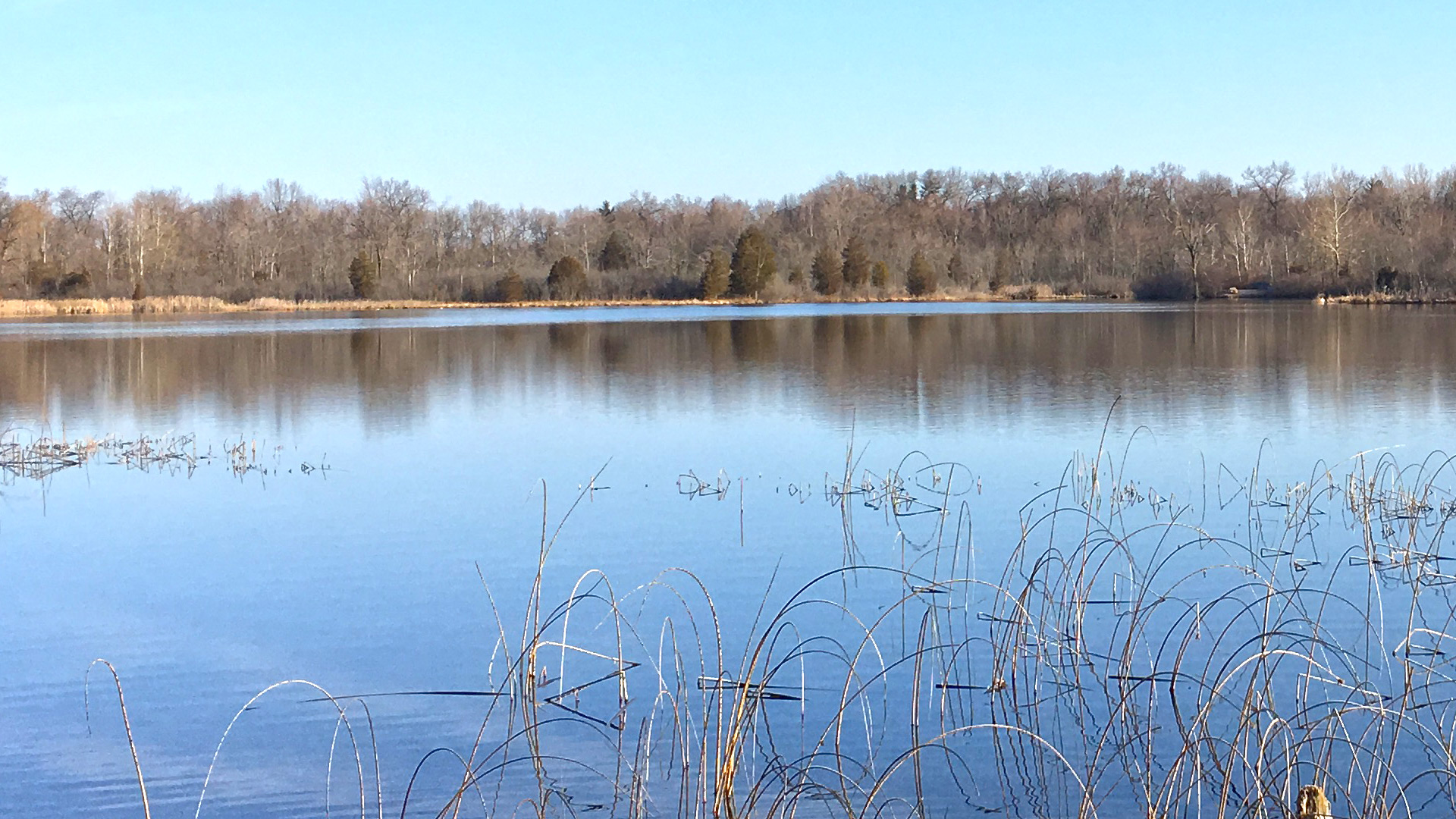 Portman Nature Preserve 3