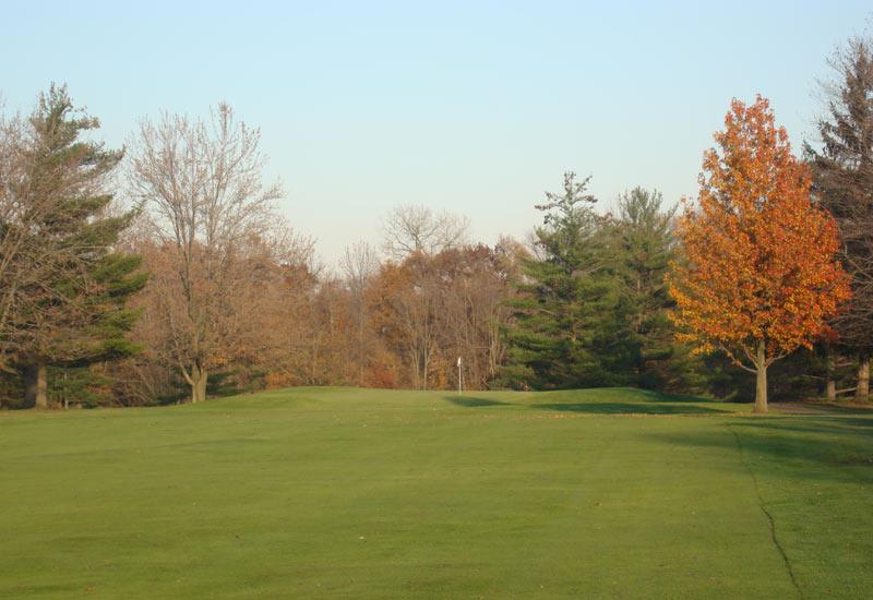 Forest Hills Golf Course 1