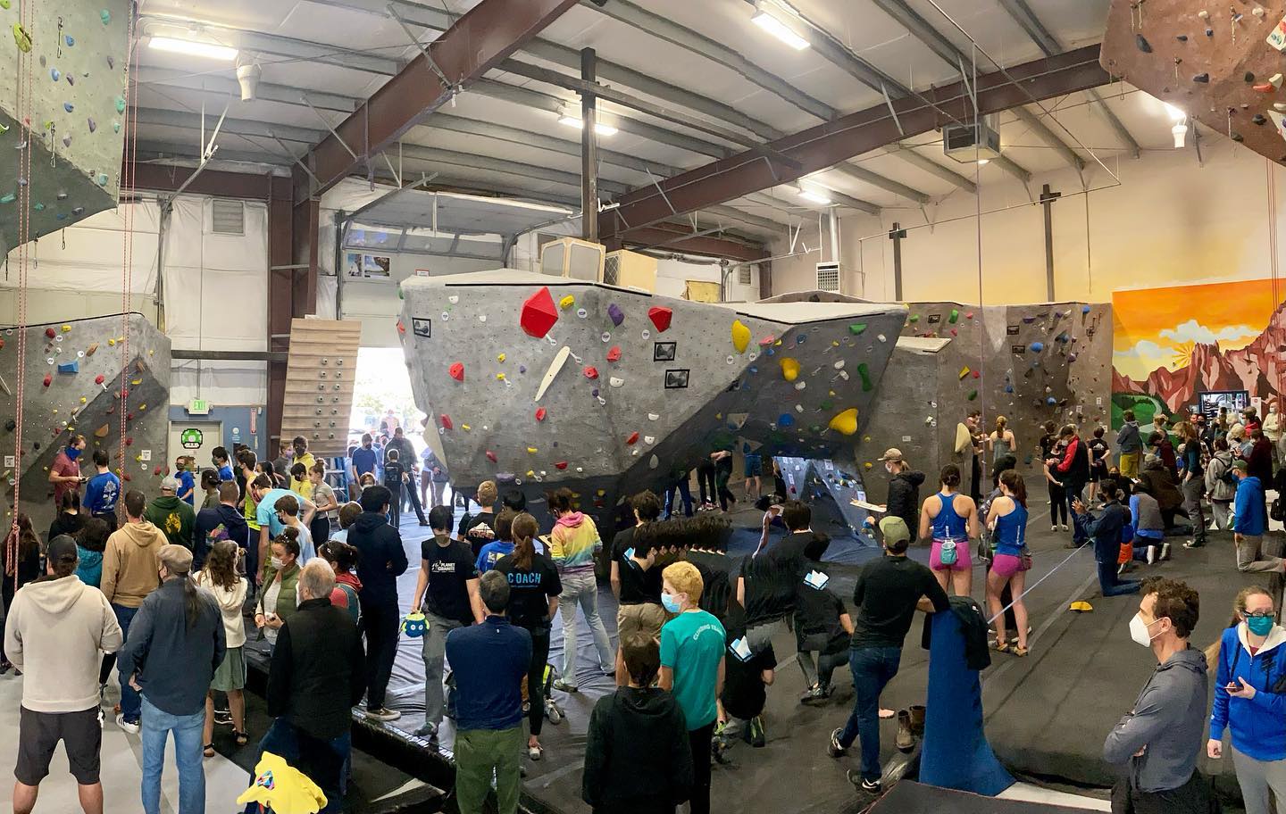 Rogue Rock Gym4
