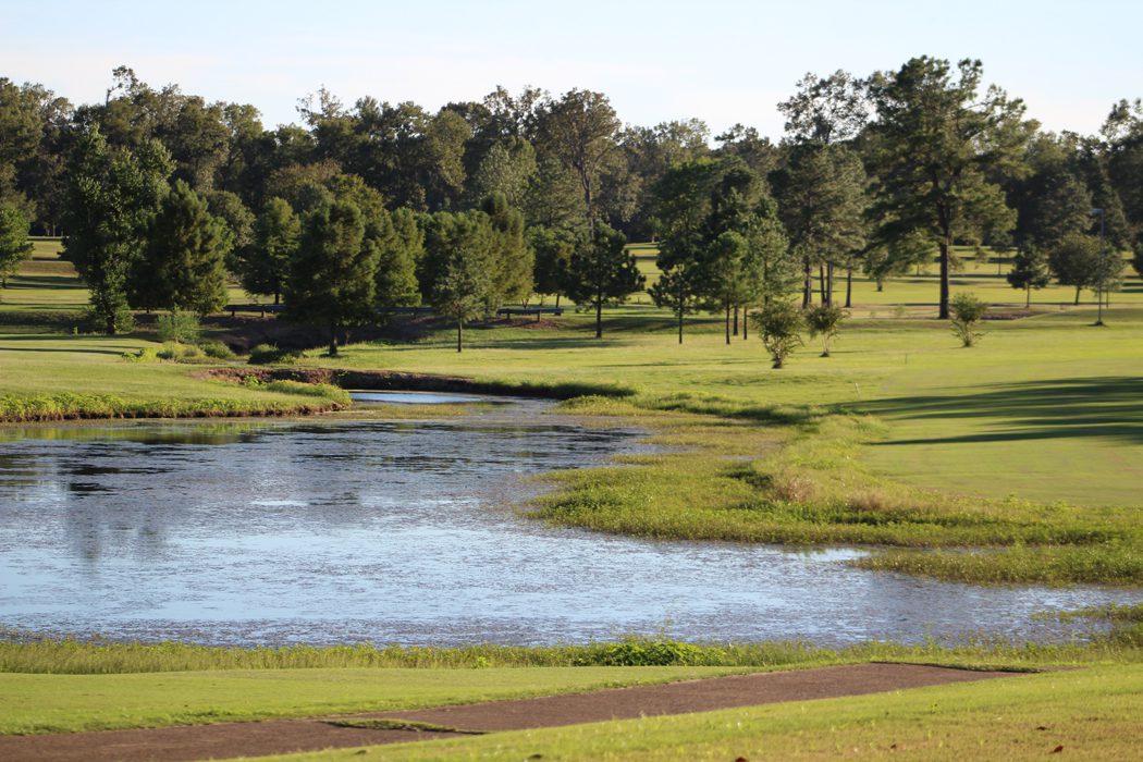 14-watertrees-1021.jpg