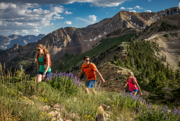 Snowbird hiking.png