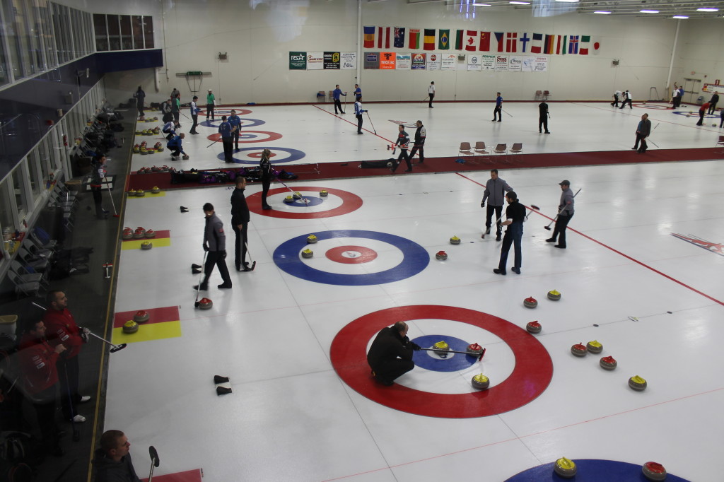 Arena view with rings.jpg