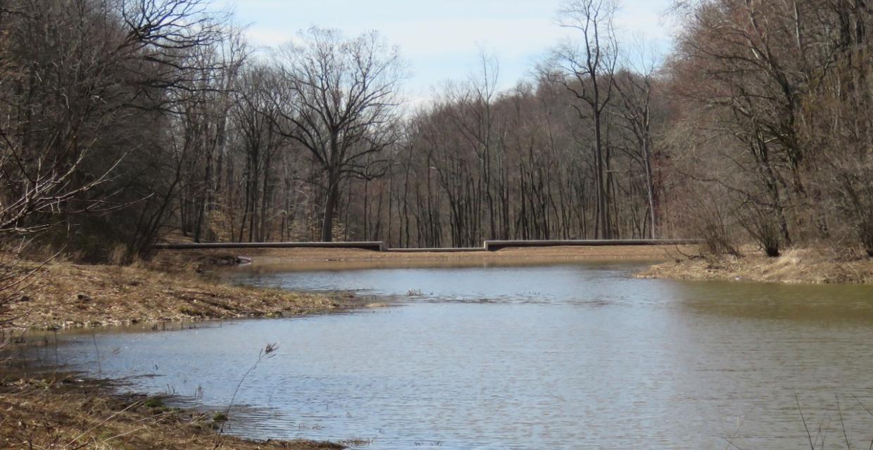 watchung reservation winter