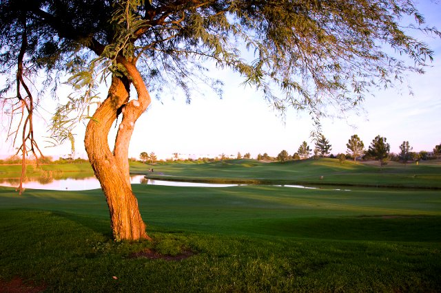 Kokopelli Golf Course5