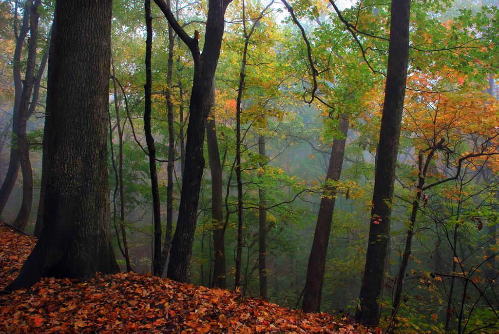 Monte Sano State Park