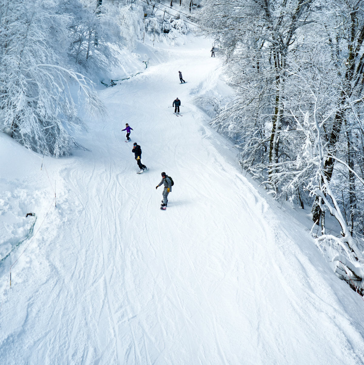 Sugar Mountain 5