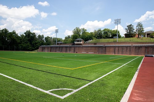 wildcat stadium
