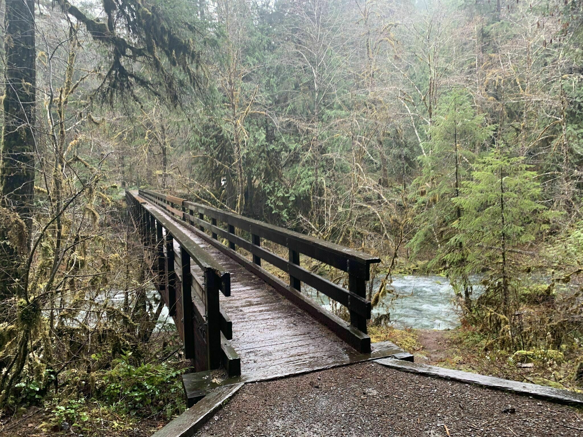 Umpqua National Forest3