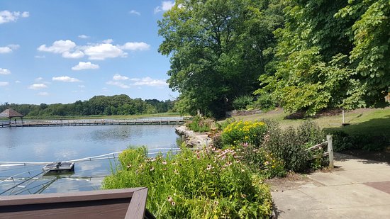 sippo lake park 5